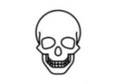 skullinfo.top logo