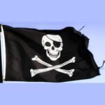 Pirate skull in a flag