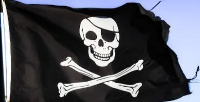 Pirate skull in a flag
